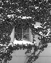 Doylestown-Window_with_Snow