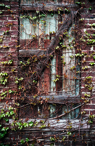 Johnstown-Door_and_Ivy