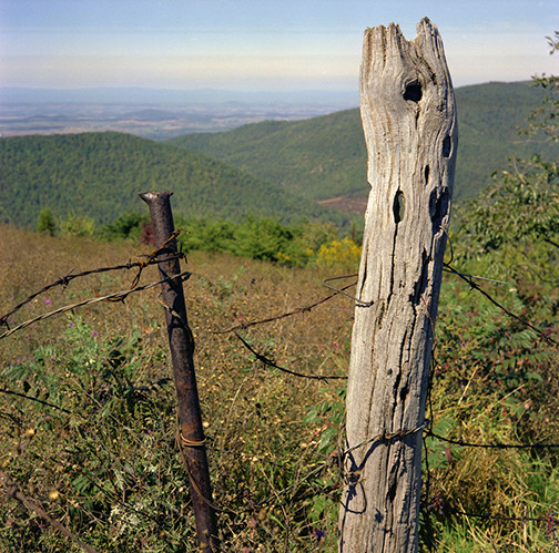 FencePost-SkylineDrive