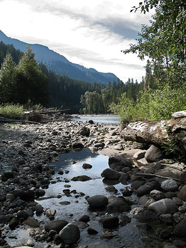 Mountain stream-Darrington