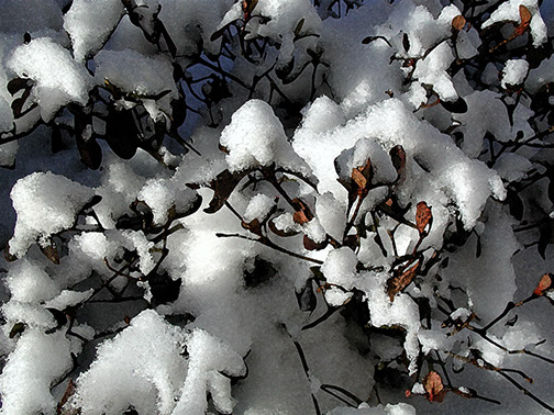 Snow&leaves-watercolor