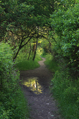 Reflection in a path