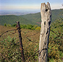 FencePost-SkylineDrive