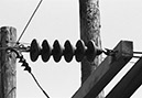 Insulator and pole