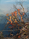 Lake_Galena_Reflections