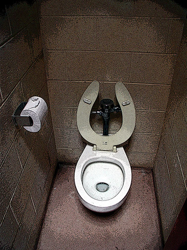 Toilet_in_the_Park